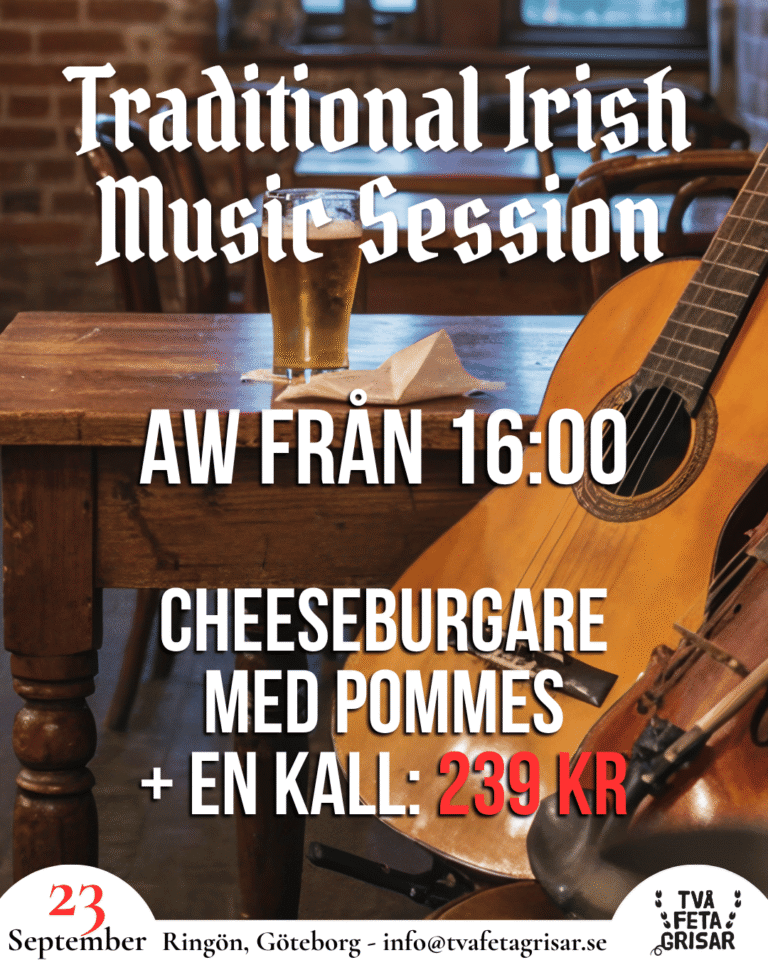 Traditional Irish Music Session